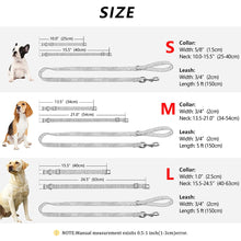 Load image into Gallery viewer, sizes of the custom dog collar leash set